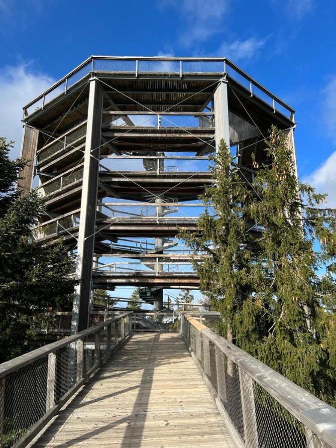 Residence Koubek - Apartmán A121 s infrasaunou Molo Lipno Lipno nad Vltavou Exteriér fotografie